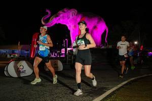 BIB: 
                            <button type="button" onclick="openModal(26534715)" class="btn btn-primary btn-sm float-right btn-popup" data-toggle="modal" data-target=".modal-high-quality">
                        <i class="fas fa-shopping-cart"></i> Add to Cart
                    </button>
                                            <button type="button" onclick="isThisMe(26534715, true)" class="btn btn-success btn-sm float-right btn-popup btn-isme hidden" data-toggle="tooltip" data-placement="bottom" title="นี่คือรูปของคุณใช่ไหม คลิกที่นี่เพื่อเอาเข้าอัลบั้ม">
                        <i class="fas fa-plus"></i> Add to album
                    </button>
                    <button type="button" onclick="isThisMe(26534715, false)" class="btn btn-warning btn-sm float-right btn-popup btn-isnotme hidden">
                        <i class="fas fa-ban"></i> Remove from album
                    </button>